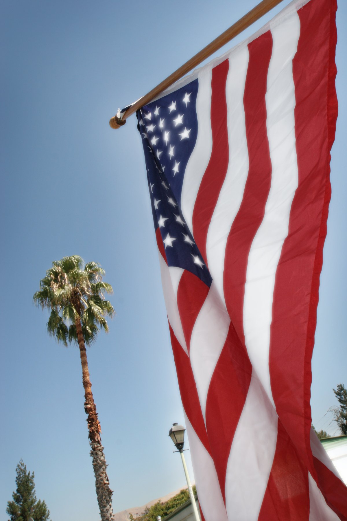 Hvor Mange Stjerner Er Der I Det Amerikanske Flag