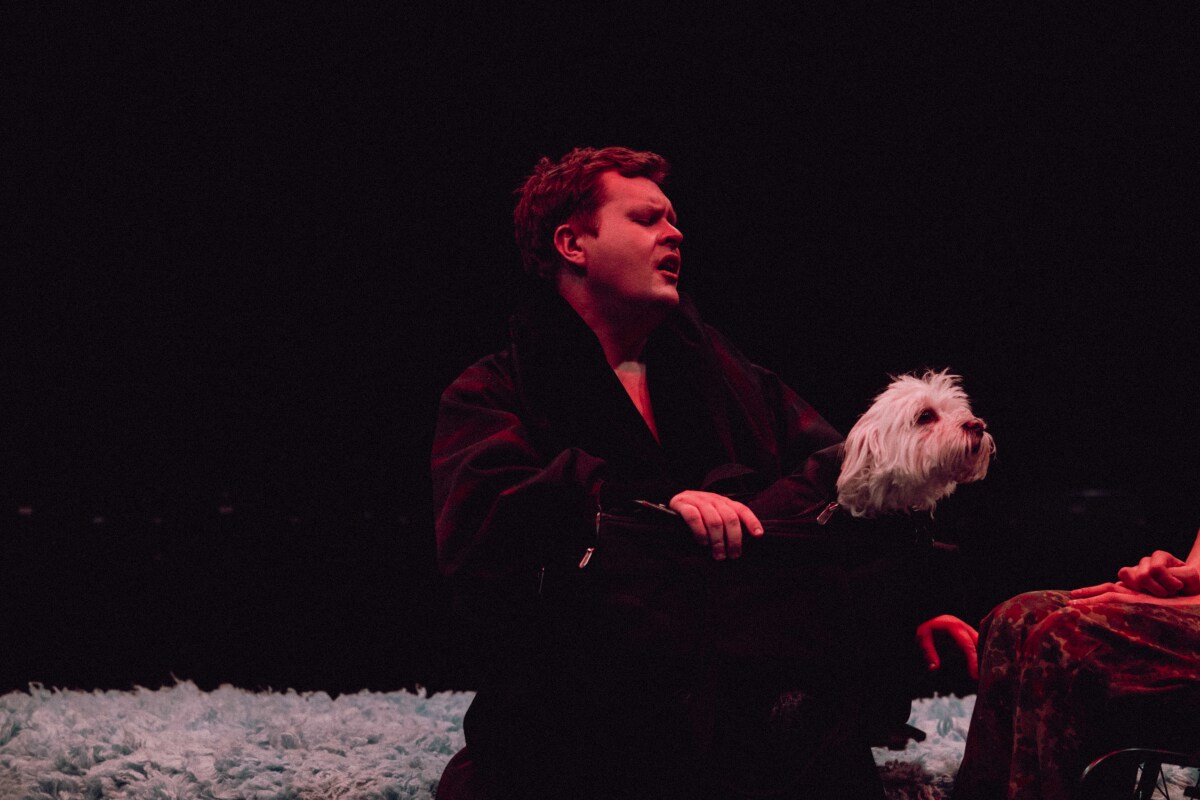 En person med mørkt hår og mørke klær sitter på scenen med en liten, hvit hund som titter frem fra vedkommendes fang. Bakgrunnen er mørk med rødlig belysning.